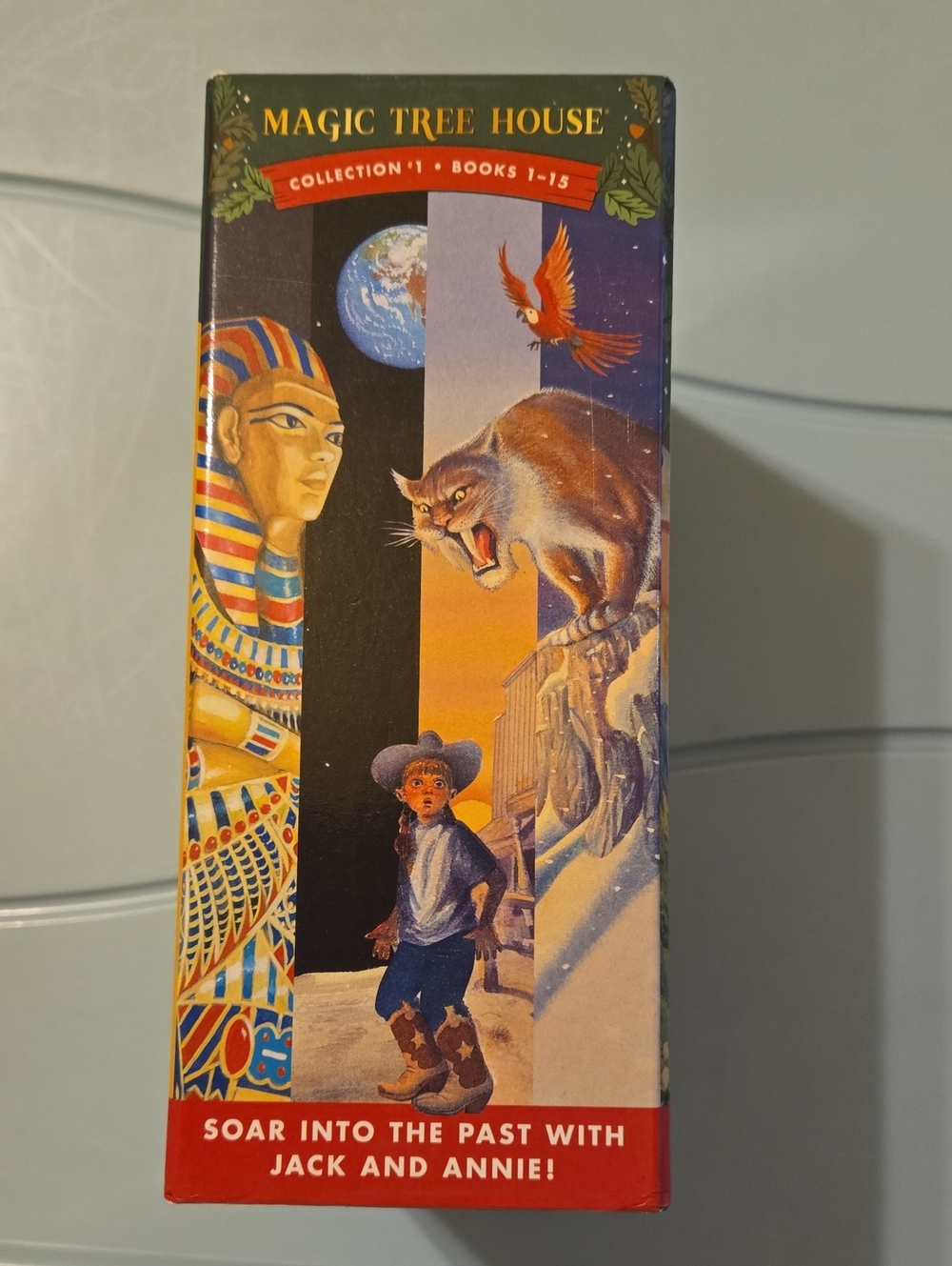 Magic Tree House - Picture 5 of 5